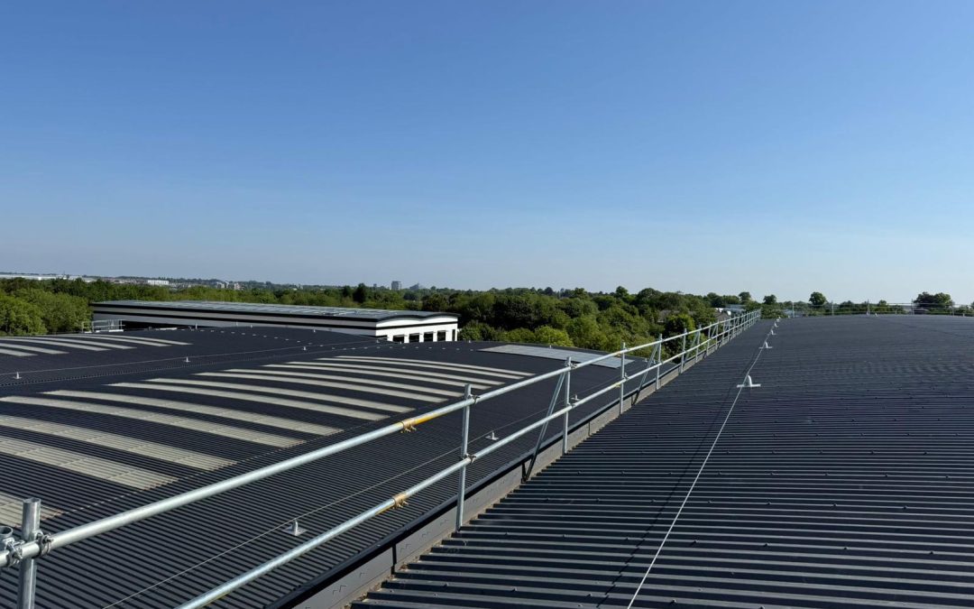 Site Progress | Commercial Ecosystem – Liberty Wines