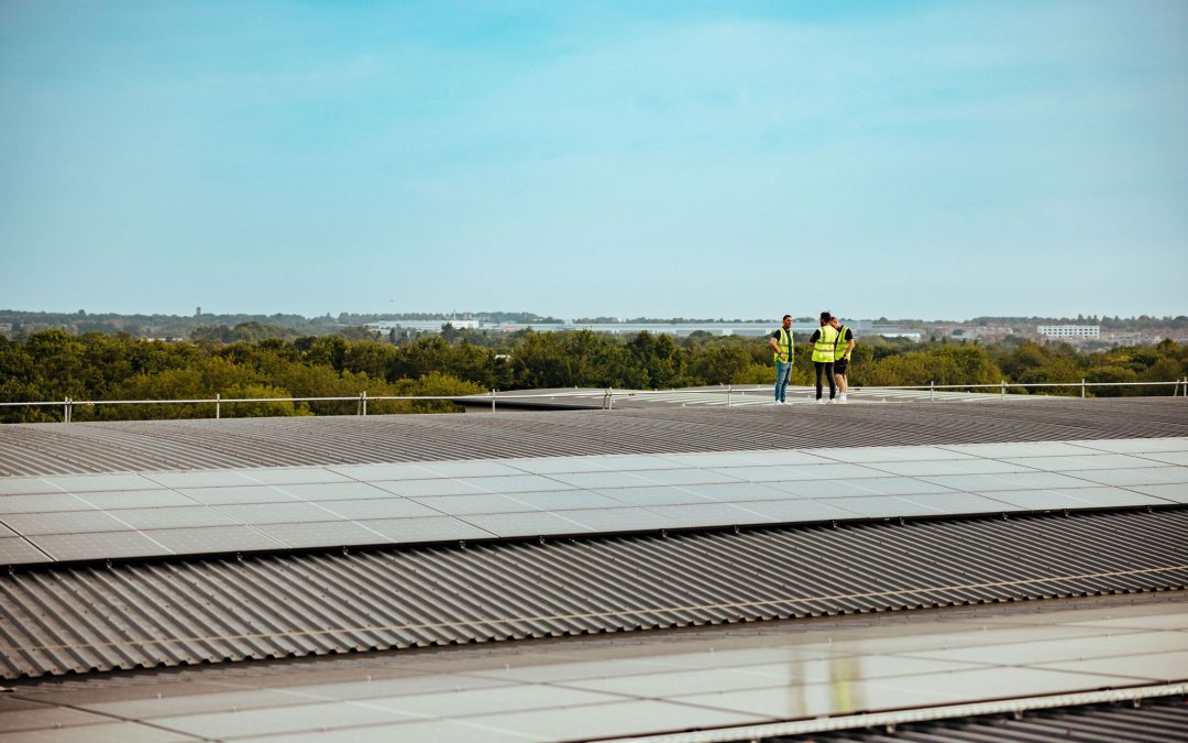 Case Study | Commercial Ecosystem – Liberty Wines