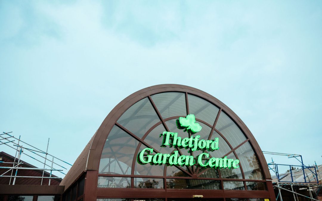 2025: The year more businesses turned curiosity into action